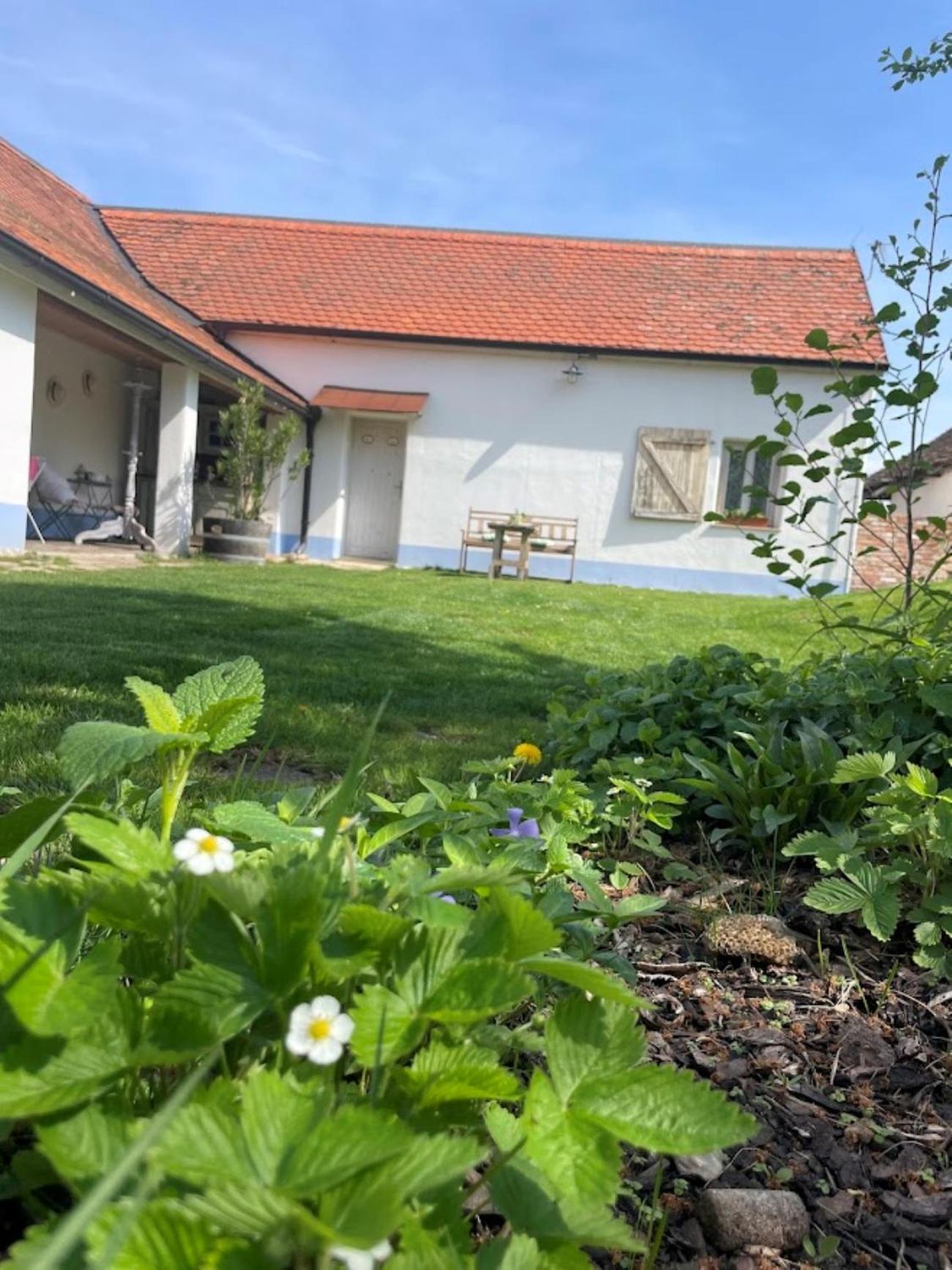 Penzion Pastuška Brod nad Dyji Exterior foto