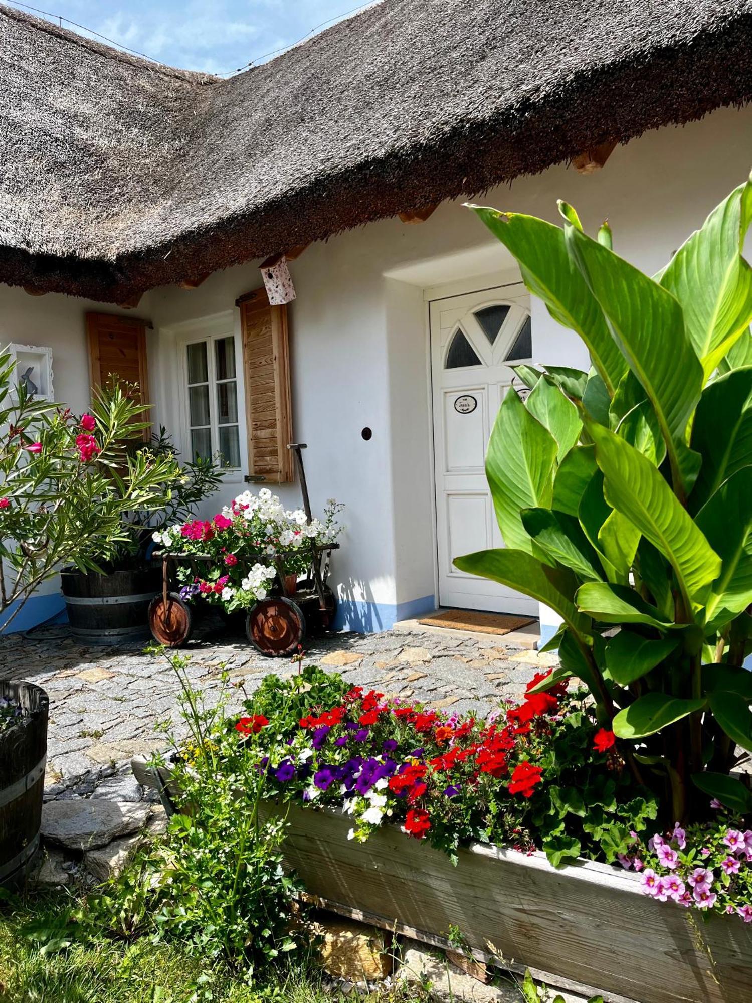 Penzion Pastuška Brod nad Dyji Exterior foto